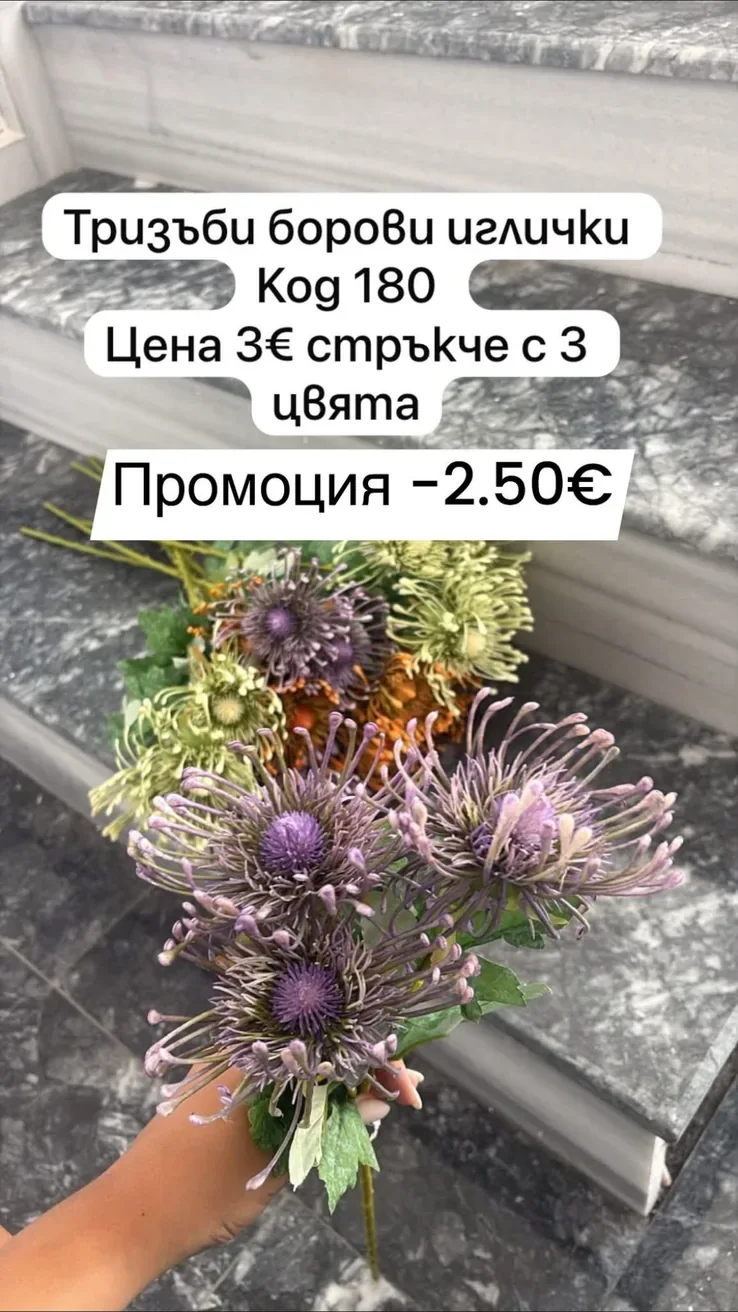 Тризъби борови иглички – стрък