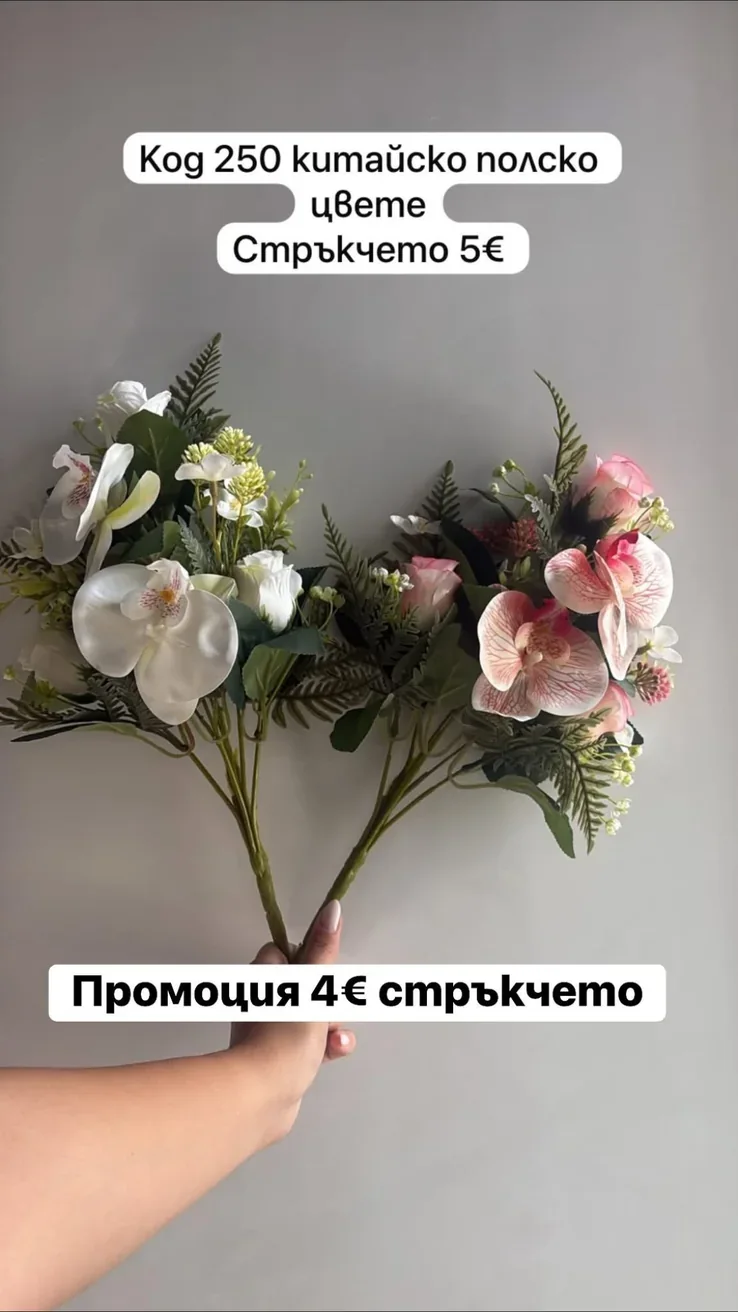 Китайско полско цвете – стрък