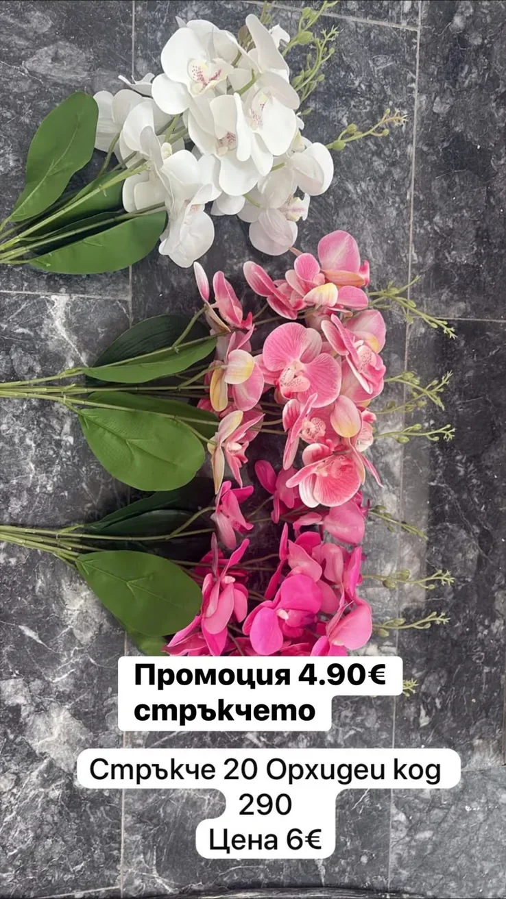 Стрък с 20 орхидеи