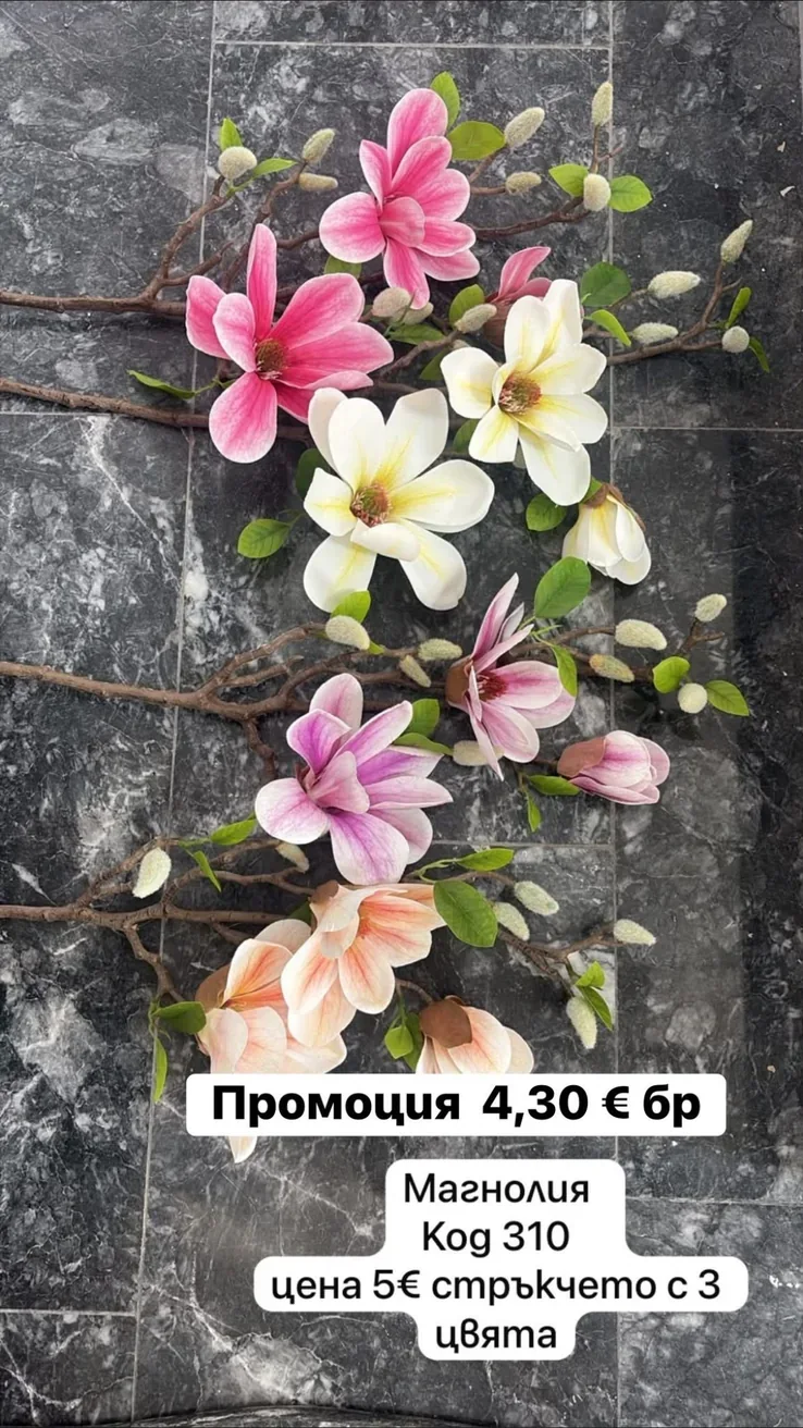 Магнолия – стрък с 3 цвята