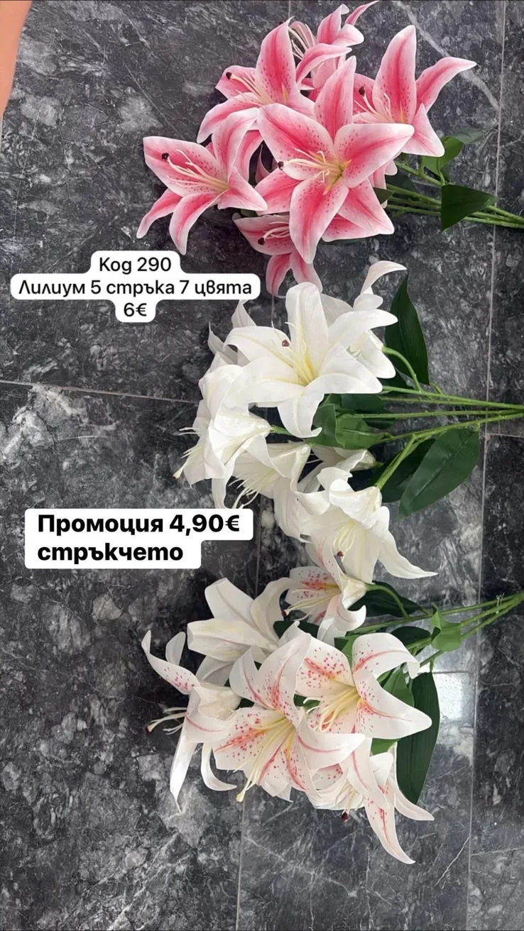 Лилиум – 5 стръка, 7 цвята